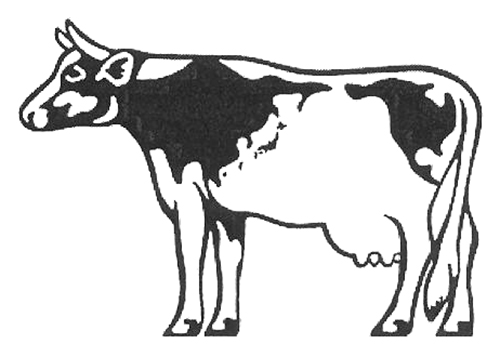 Cow