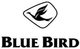 BLUE BIRD