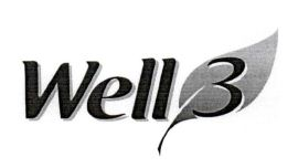 Well 3