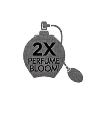 2X PERFUME BLOOM