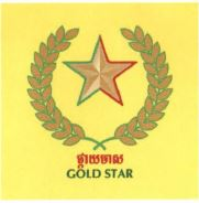 GOLD STAR