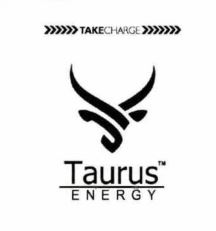TAKE CHARGE Taurus ENERGY