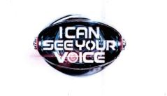 I CAN SEE YOUR VOICE
