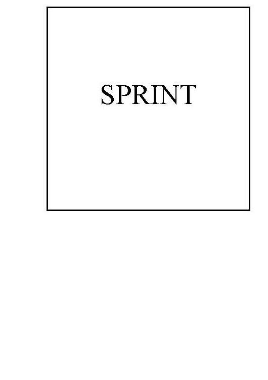 SPRINT