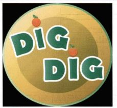 DIG DIG