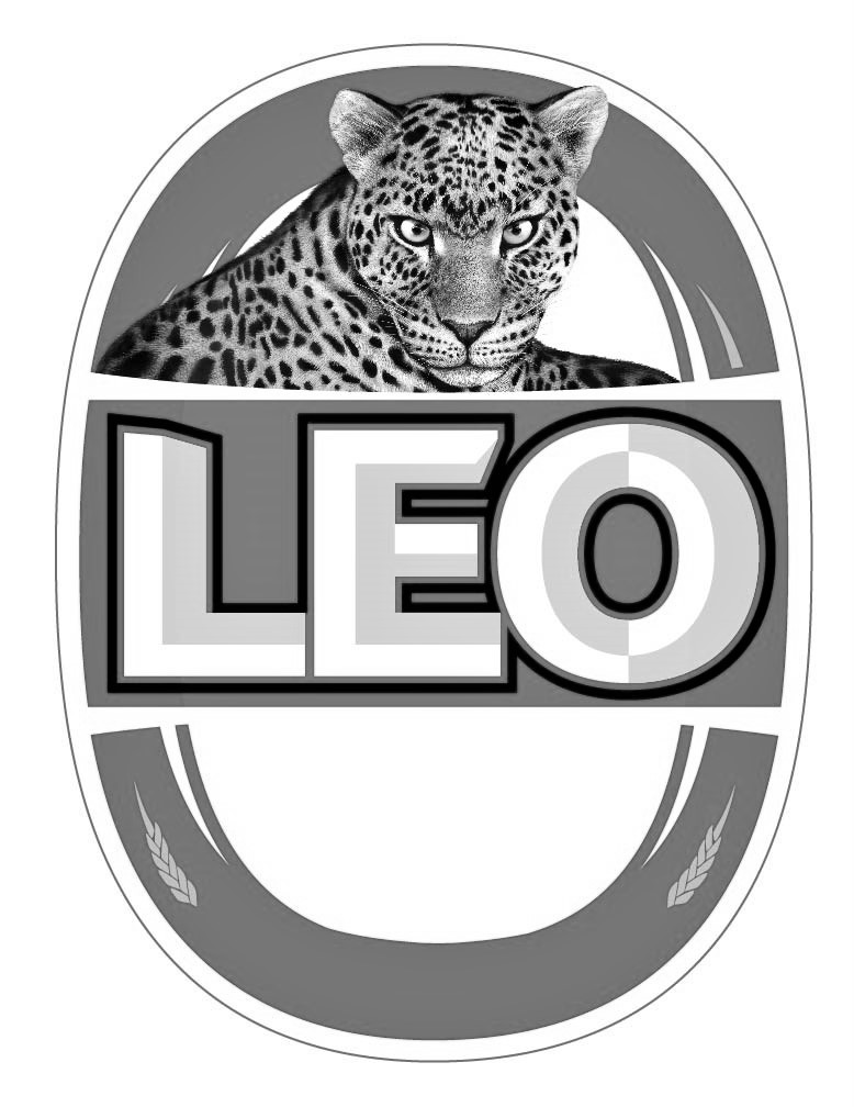 LEO