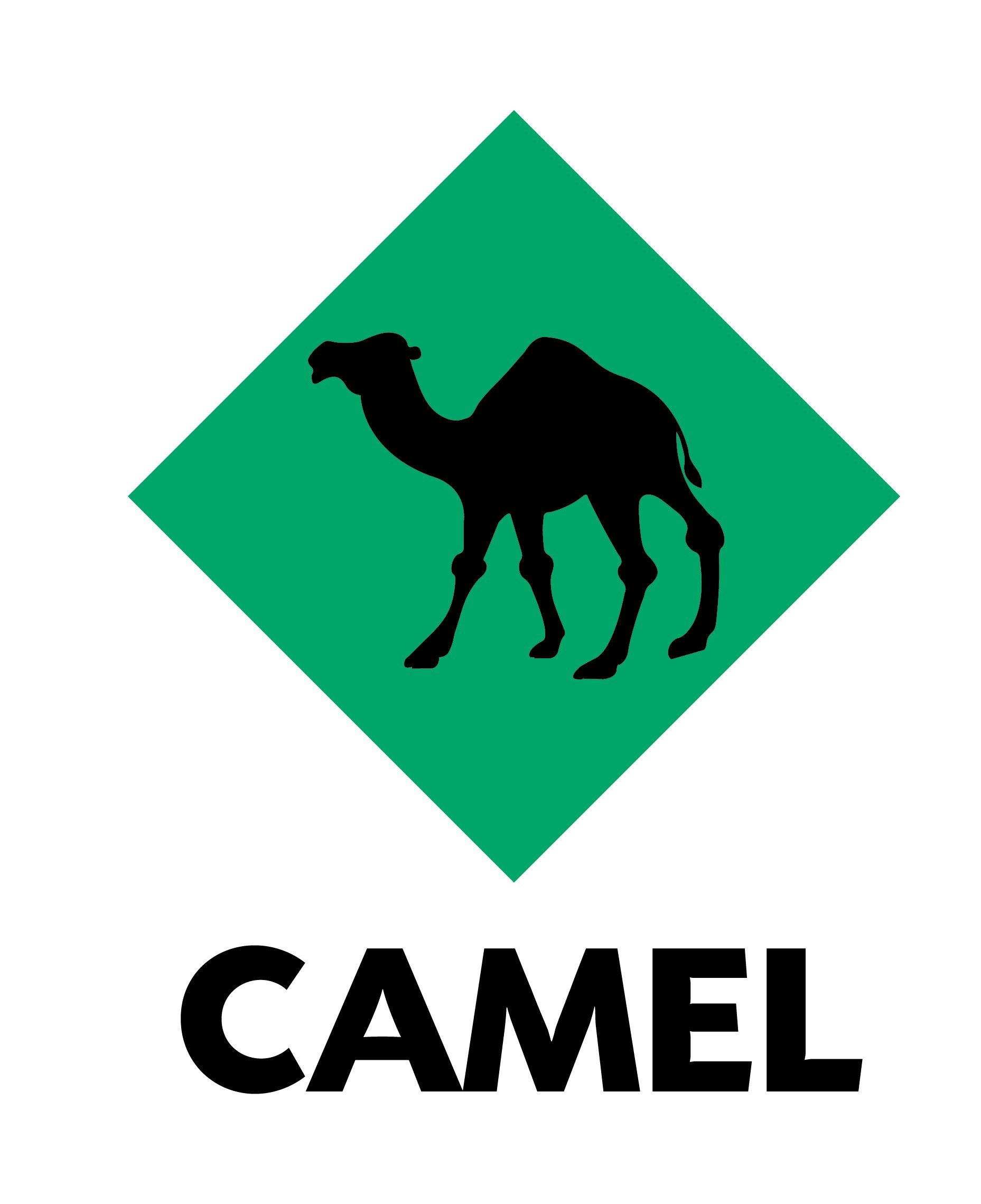 Camel