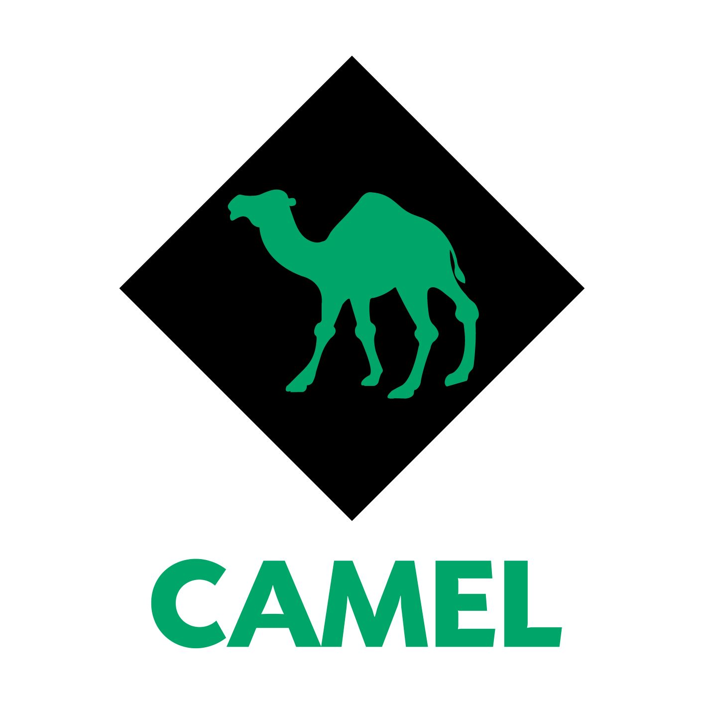 Camel