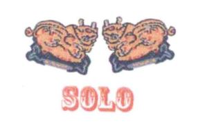 SOLO