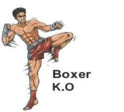 Boxer K.O