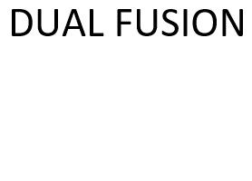 DUAL FUSION