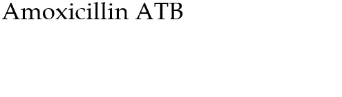 Amoxicillin ATB