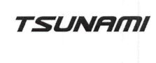 TSUNAMI