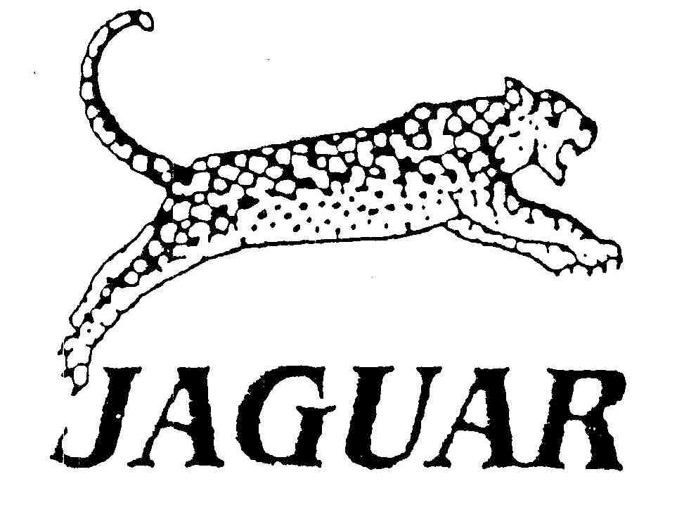 JAGUAR