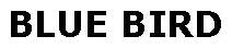 BLUE BIRD