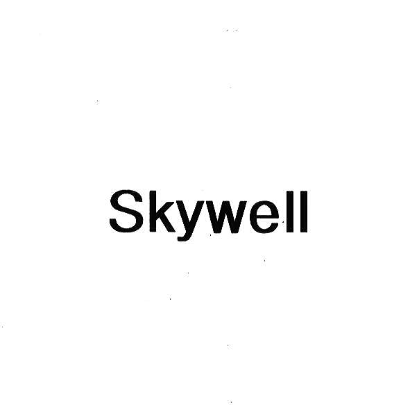 Skywell