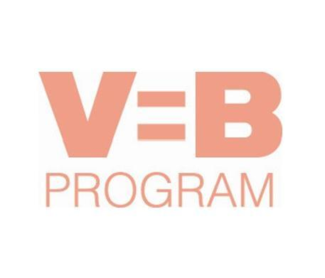 V=B PROGRAM