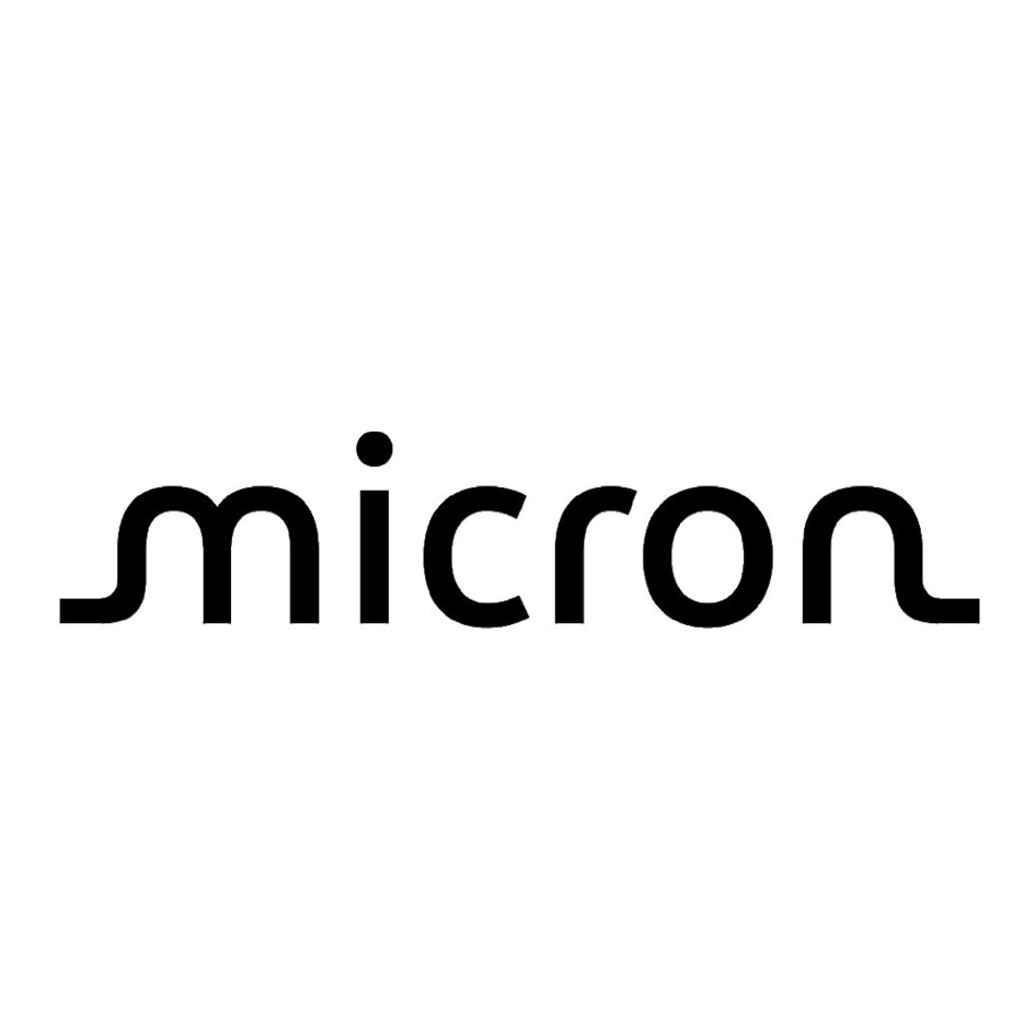 micron