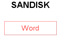 SANDISK