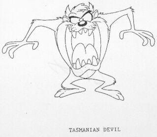 TASMANIAN DEVIL