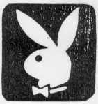 RABBIT and head design