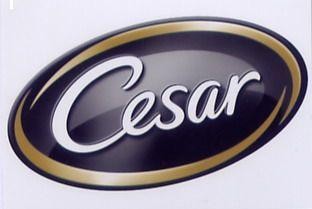 Cesar