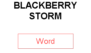 BLACKBERRY STORM