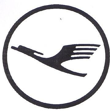 FLYING BIRD IN CIRCLE