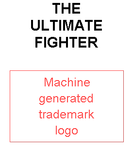 THE ULTIMATE FIGHTER