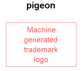 pigeon