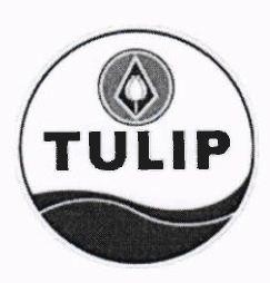 TULIP