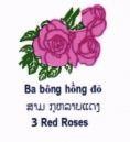 3 Red Roses and Device