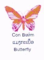 Butterfly and Device