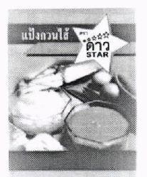 Pang Guan Sai Tra Dao in Thai characters & Device