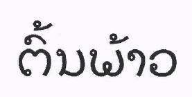 COCONUT TREE Lao characters (Stylized)