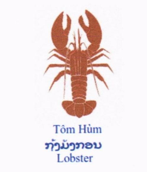 Tôm Hùm Lobster, device