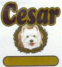 CESAR