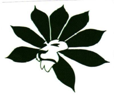 Head of a Lion Design