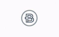B & Logo (in stylized)