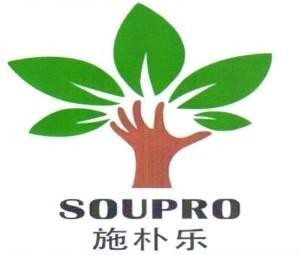 SOUPRO ໂຕໜັງສືຈີນ (ພ້ອມດ້ວຍຮູບພາບ)