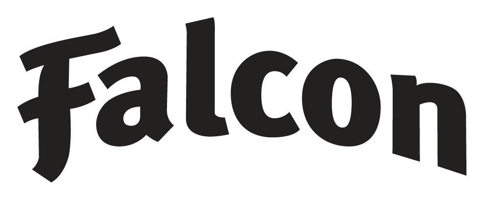 Falcon in stylization