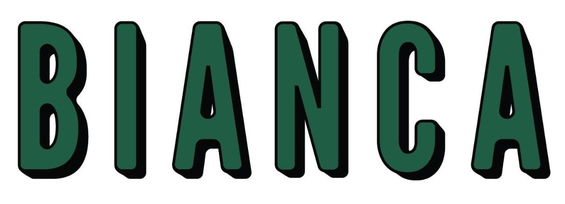 BIANCA in stylization