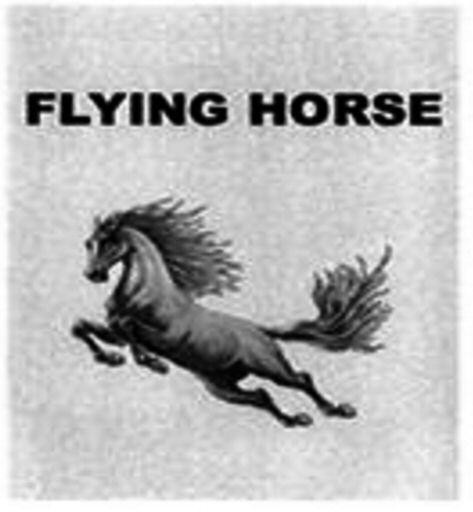 FLYING HORSE