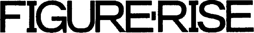FIGURE RISE