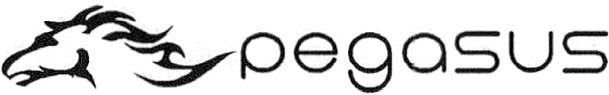 pegasus