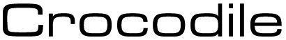Crocodile
