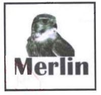 Merlin