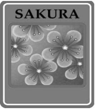 SAKURA
