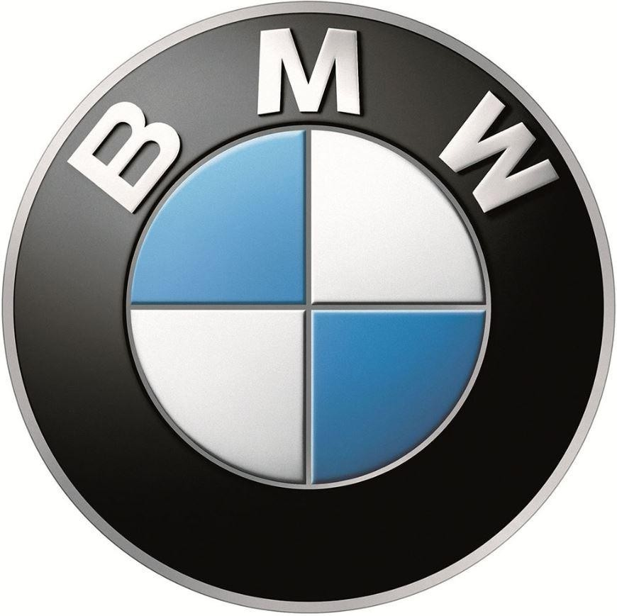 BMW Logo (color)
