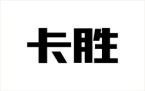 CHINESE CHARACTER